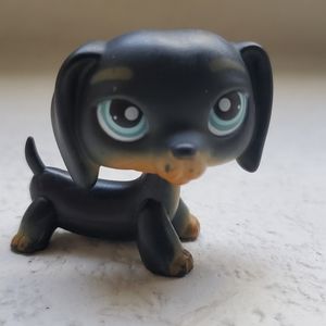 Rare LPS- Littlest Pet Shop- dashund #325 Blue Eyes